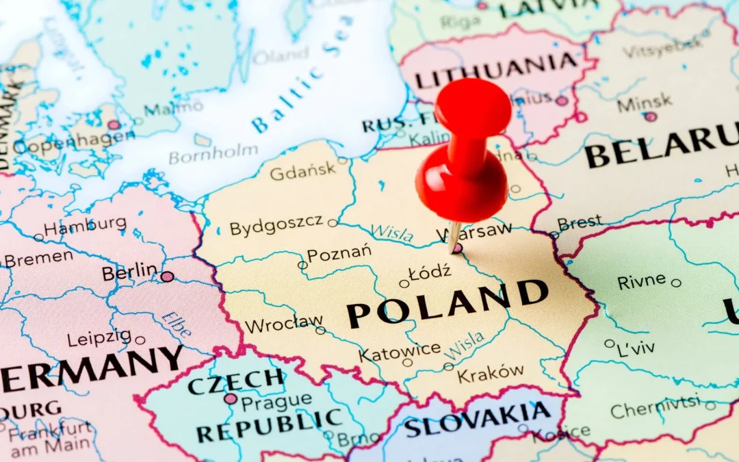 Why you should be investing in polish translation services in London | My Language Connection